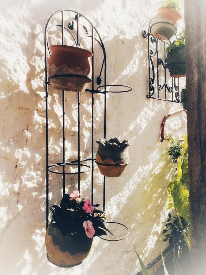Casa Proyecto Pepe Bravo - Arte De Manos Y Corazón Alojamento de Acomodação e Pequeno-almoço *
