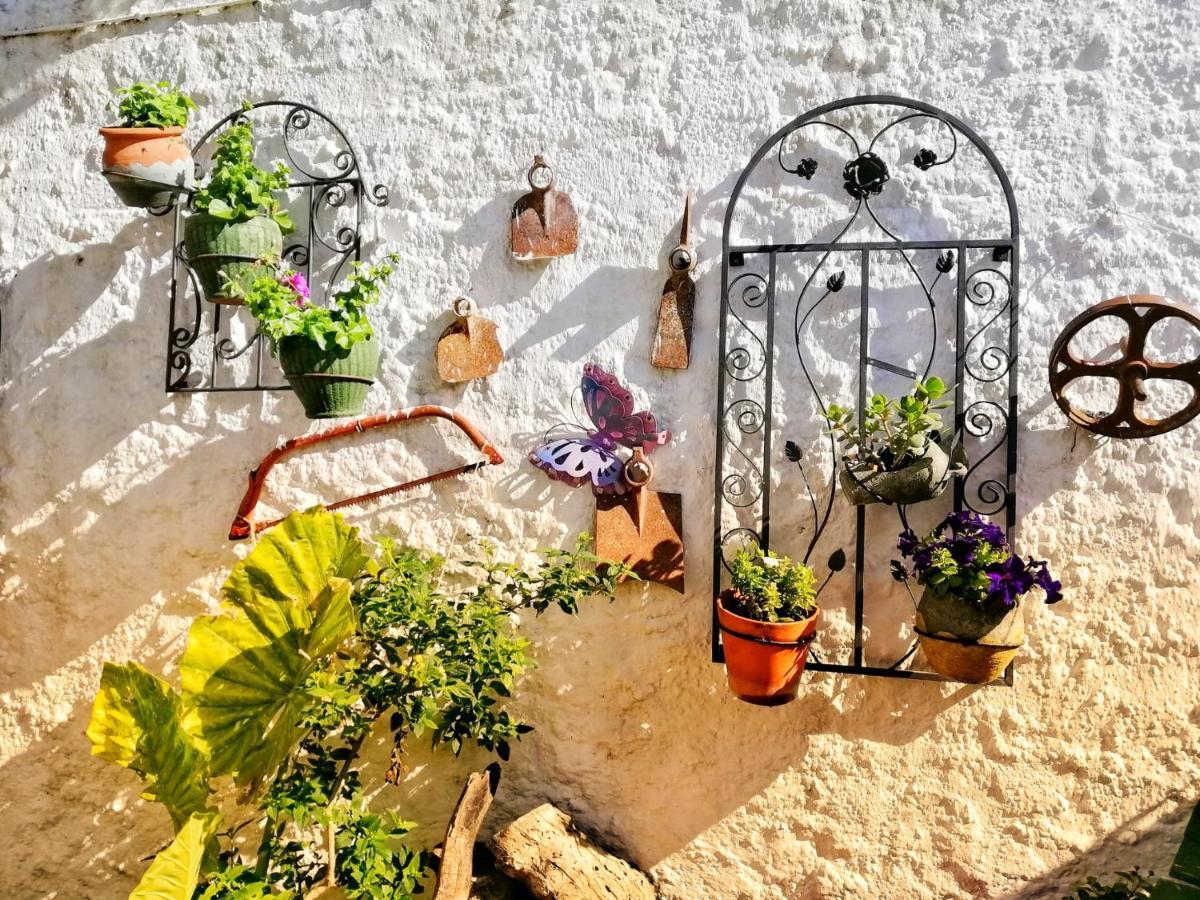 Casa Proyecto Pepe Bravo *